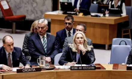 Τσβιγιανόβιτς στο Συμβούλιο Ασφαλείας των Ηνωμένων Εθνών: Στη Βοσνία και Ερζεγοβίνη ισχύει δικτατορία