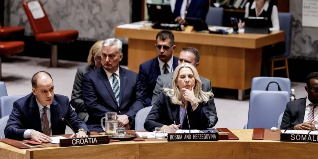 Τσβιγιανόβιτς στο Συμβούλιο Ασφαλείας των Ηνωμένων Εθνών: Στη Βοσνία και Ερζεγοβίνη ισχύει δικτατορία
