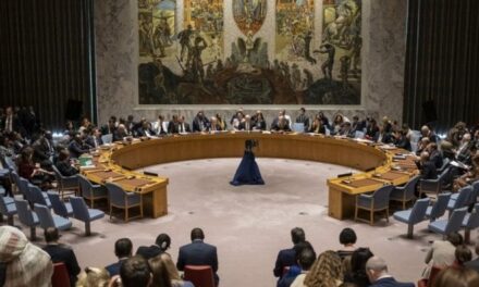 Кина подржала захтјев Русије за сједницу СБ УН поводом пресуде Додику