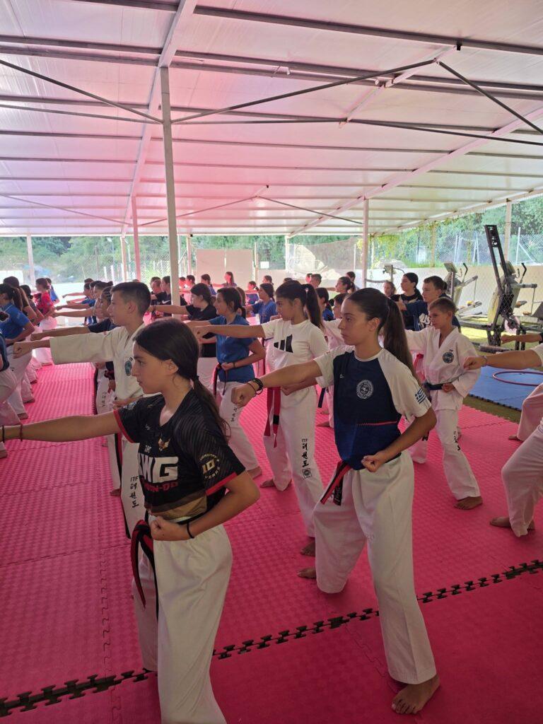 Ο Σύλλογος Taekwon-Do «Srpski Soko» από το Ζβόρνικ σε διεθνές αθλητικό camp στην Ελλάδα